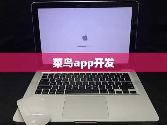 菜鸟app开发
