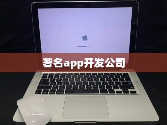 著名app开发公司