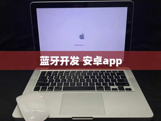 蓝牙开发 安卓app
