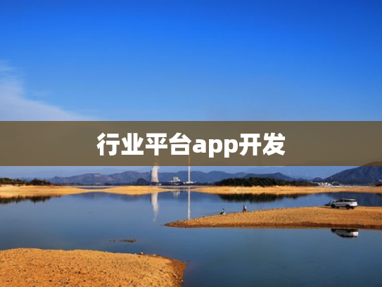 行业平台app开发