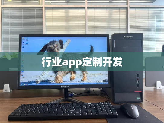 行业app定制开发