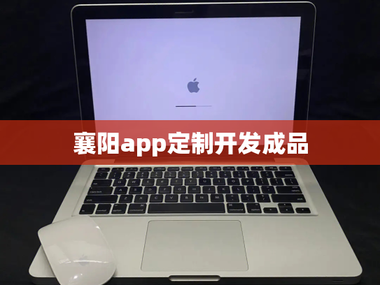 襄阳app定制开发成品