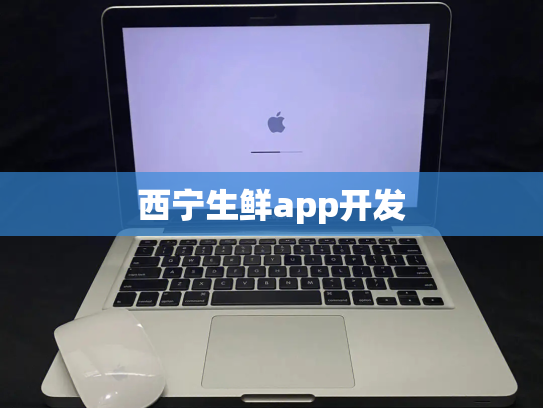 西宁生鲜app开发