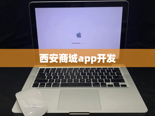 西安商城app开发