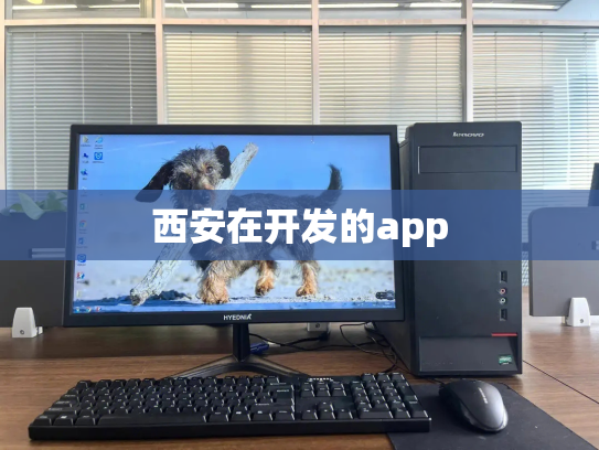 西安在开发的app
