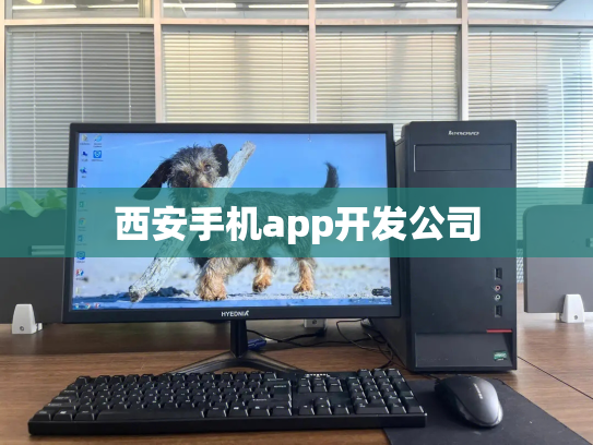 西安手机app开发公司