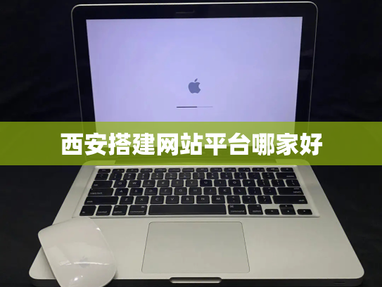 西安搭建网站平台哪家好