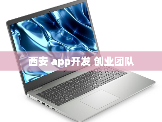 西安 app开发 创业团队