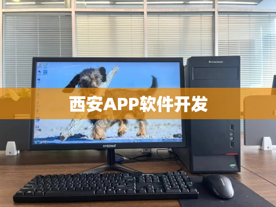 西安APP软件开发
