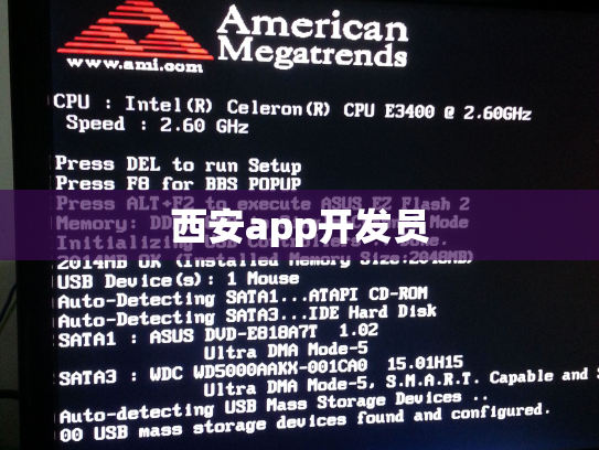 西安app开发员