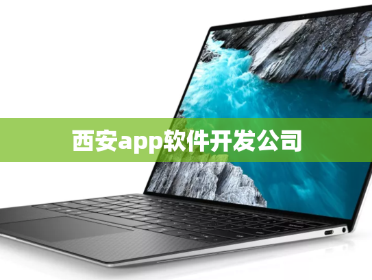 西安app软件开发公司