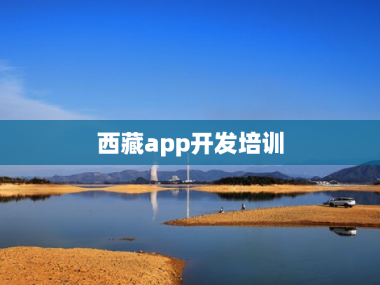 西藏app开发培训