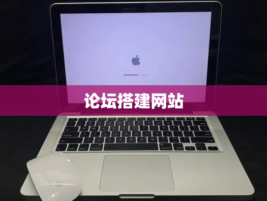 论坛搭建网站