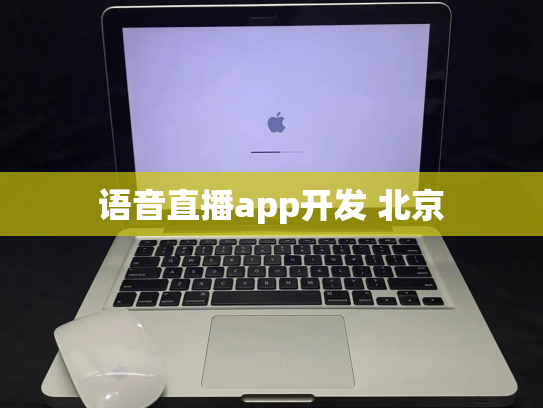 语音直播app开发 北京