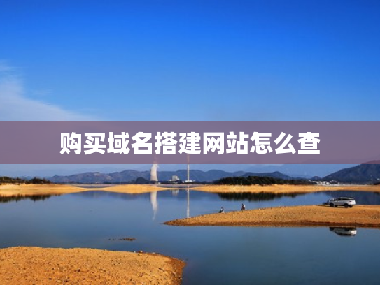 购买域名搭建网站怎么查