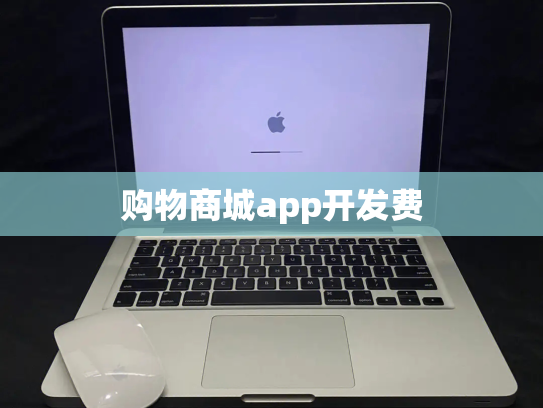 购物商城app开发费