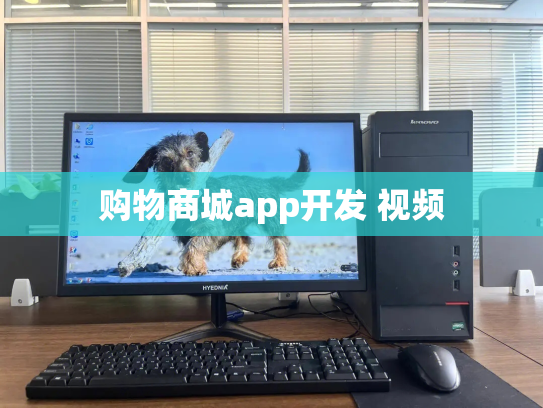 购物商城app开发 视频
