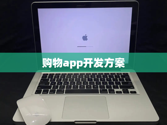 购物app开发方案