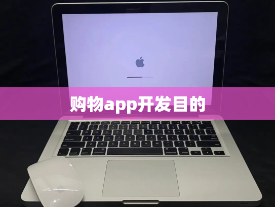 购物app开发目的