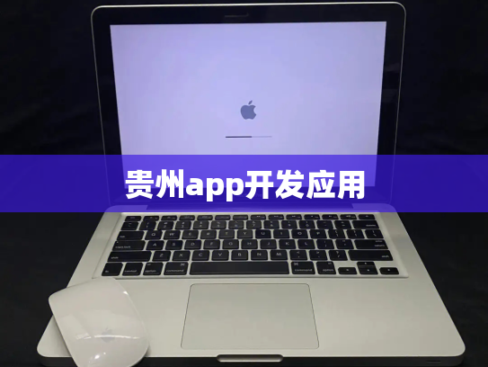 贵州app开发应用