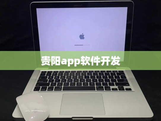 贵阳app软件开发