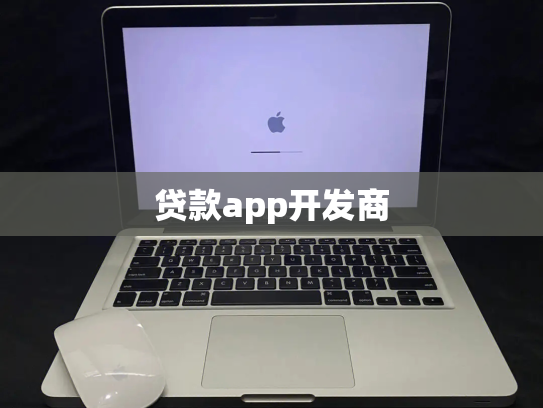 贷款app开发商