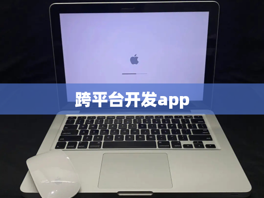 跨平台开发app