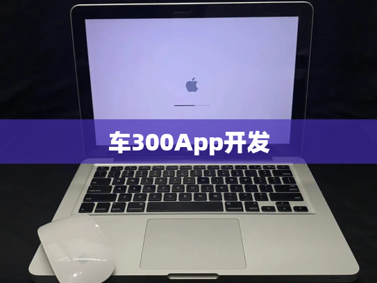车300App开发