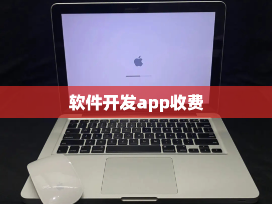 软件开发app收费