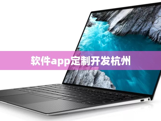 软件app定制开发杭州