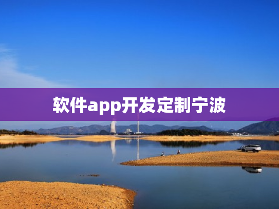 软件app开发定制宁波