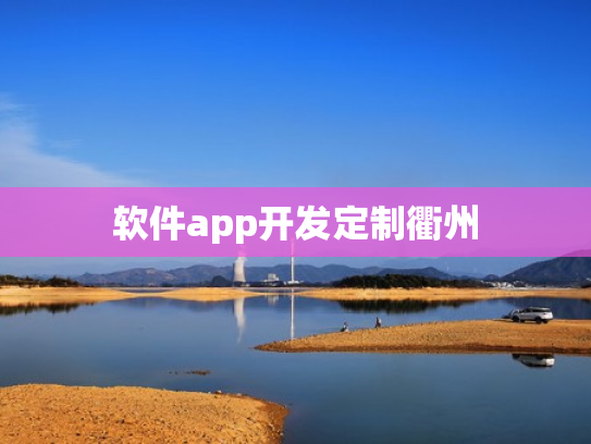 软件app开发定制衢州