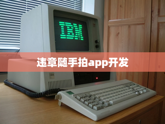 违章随手拍app开发
