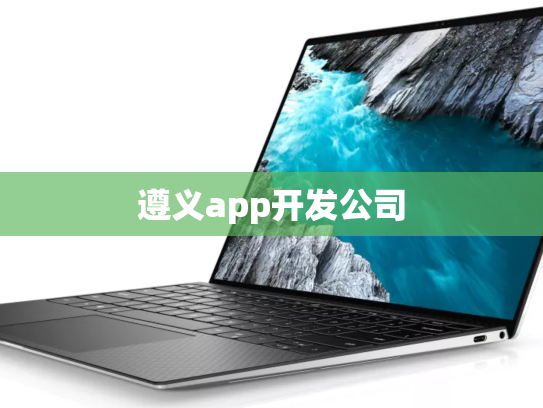 遵义app开发公司