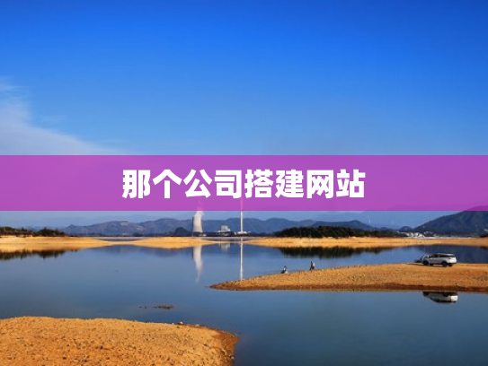 那个公司搭建网站