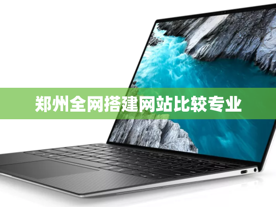 郑州全网搭建网站比较专业