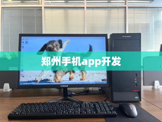 郑州手机app开发