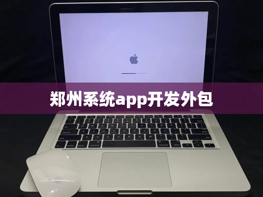 郑州系统app开发外包