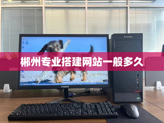 郴州专业搭建网站一般多久