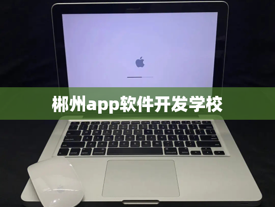 郴州app软件开发学校