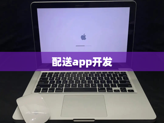 配送app开发
