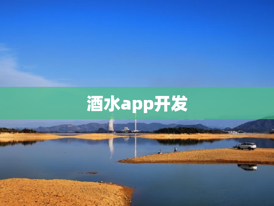酒水app开发