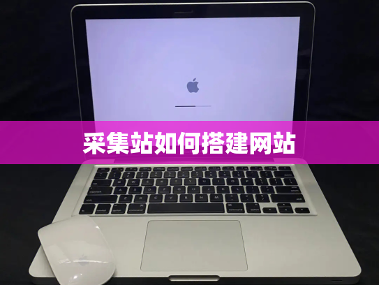 采集站如何搭建网站