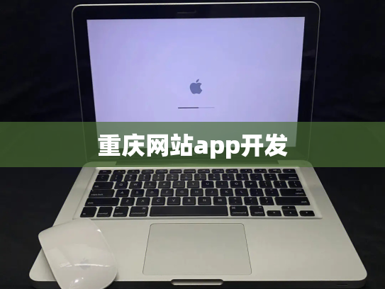 重庆网站app开发