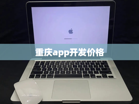 重庆app开发价格