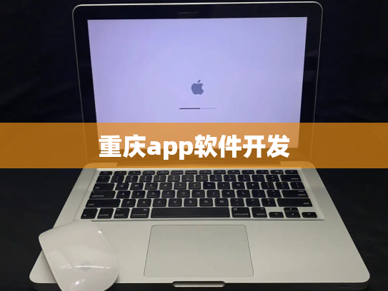 重庆app软件开发