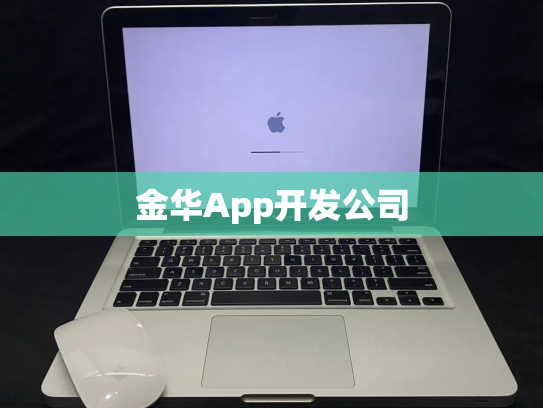 金华App开发公司