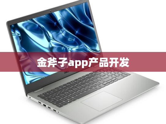 金斧子app产品开发