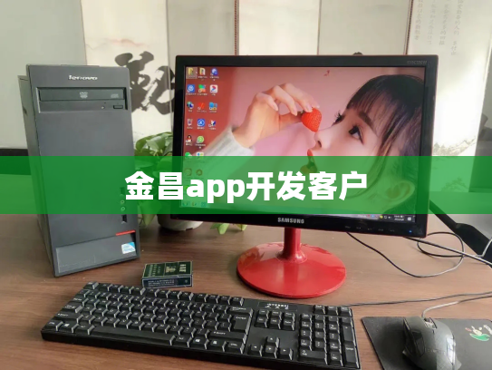 金昌app开发客户