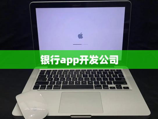 银行app开发公司